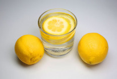 11 Khasiat Minum Air Lemon Hangat Setiap Pagi, Bikin Penyakit Ini Kabur