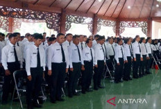 PNS dan PPPK Daerah Dilarang Live Streaming saat Jam Kerja