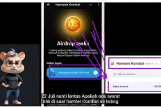 Cara Verifikasi Dompet Telegram Menjelang Hamster Kombat Listing