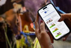 Lewat Fitur Sukha di Livin by Mandiri, Hewan Kurban Bisa Dipilih Hingga Dipantau Proses Distribusinya