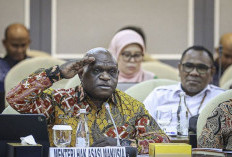 Soal Tanaman Kratom, Menteri Pigai Singgung RUU Narkotika