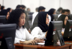 Penyebab Pelamar CPNS 2024 Dinyatakan TMS, Terbanyak soal Ijazah