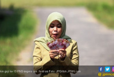 Honorer Lulus PPPK & CPNS Tak Digaji Lagi, SK Belum di Tangan