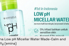 4 Rekomendasi Micellar Water Bikin Muka Matte Seharian