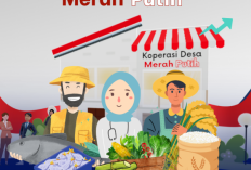 Pembentukan Koperasi Merah Putih Segera Launching