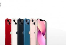 Daftar Lengkap Harga iPhone Maret 2026, Mulai Rp8 Jutaan
