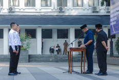 Ratusan Honorer Resmi jadi PPPK, 4 Hal Penting yang Harus Dilakukan