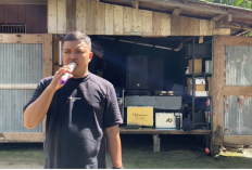  Mic Wireless KD 720 Pro vs AD ACT 9090U: Karakter Suara Tebal vs Open Berdasarkan Uji Nyata