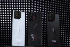 4 HP ASUS ROG Phone Terbaik 2026, Spek Gaming 165Hz