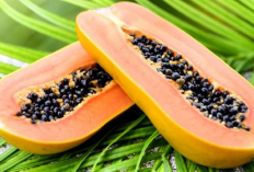 Tinggi Kalsium, Buah Ini Cocok Dimakan saat Usia Mulai Menua
