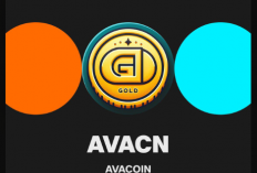 Berapa Harga Avacoin Saat Ini? Konversi Cepat Avacoin ke Rupiah