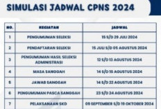 Pendaftaran CPNS 2024 Resmi Dibuka, Portal SSCASN Aktif di Minggu Ketiga