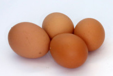 5 Khasiat Telur untuk Kulit Wajah yang Bikin Kaget