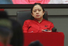 Sekolah Negeri Kekurangan Siswa, Puan Minta Pemerintah Bikin Evaluasi Menyeluruh