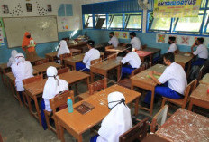 Edukasi Kesehatan Reproduksi di Pesantren Dinilai Penting Cegah Risiko Sosial
