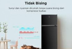 Keunggulan dan Spesifikasi Kulkas 2 Pintu TCL