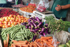 Harga Sayuran di Lebong Naik Hingga Dua Kali Lipat