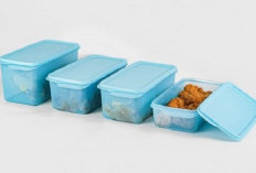 Tupperware Terancam Bangkrut! Brand Idola Emak-emak ini Terlilit Utang $700 Juta