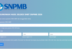 Pengumuman Hasil UTBK-SNBT 2026 Resmi Dirilis, Cek Link dan Cara Melihat Kelulusan di Sini!
