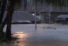 Banjir Melanda Kota Padang: Rumah Terendam, Warga Terpaksa Mengungsi