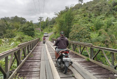Warga Desa Mangkurajo Desak Pemkab Lebong Bangun Jembatan Permanen