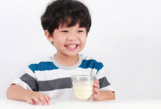 5 Kriteria Susu Pertumbuhan yang Tepat untuk Anak Balita