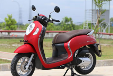 Kekurangan Honda Scoopy Terbaru