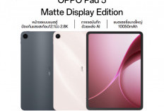 Oppo Pad 5 Matte Display, Tablet Android Premium