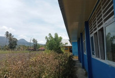 Demi Keselamatan Siswa, SMPN 9 Lebong Desak Pembangunan Pagar