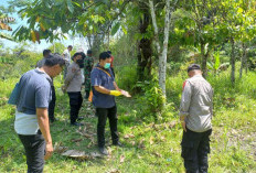 Ibu Kandung Teg4 Bunuh B4yi Hasil Hubungan Gel*p, S4dis