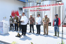 Pertama di Indonesia, Pabrik Percontohan Minyak Makan Merah Pagar Merbau Diresmikan Presiden Jokowi