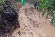 Longsor di Tik Kuto Lumpuhkan Jalan Lintas Lebong–Curup, BPBD Kerahkan Alat Berat