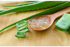 Obati Iritasi Kulit dengan Menggunakan 3 Herbal Ini