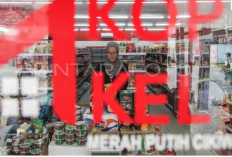  Apakah Penempatan Manajer Koperasi Merah Putih Ditentukan Atau Bisa Pilih Sendiri ?