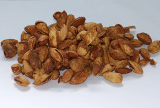 Atasi Nyeri Haid dengan Rutin Mengonsumsi 3 Makanan Ini