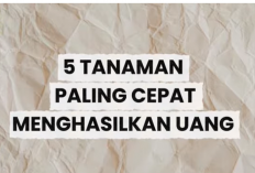 5 Tanaman Paling Cepat Menghasilkan Uang: Panen Cepat, Laku Keras, Modal Kecil