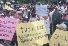  NAL Desak APH Usut Anggaran TPP  yang Tak Full Dibayar Setahun 