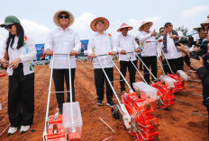 Didampingi Wamentan, Ketua DPD RI Canangkan Program Senator Ketahanan Pangan di Bengkulu