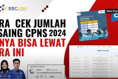 Melihat Jumlah Pendaftar CPNS 2024: Berapa Banyak Saingan Kita?