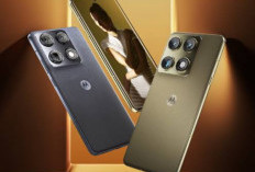 Motorola Signature Masuk Indonesia, Flagship Lifestyle Pesaing Samsung 