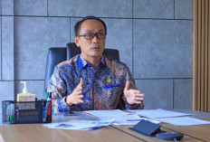 Pemda Masih Takut-Takut Merelokasi PPPK, Prof Zudan: Surati BKN Saja