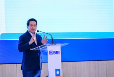 BRImo Digunakan 44,4 Juta User dengan Transaksi Rp 25 Triliun per Hari