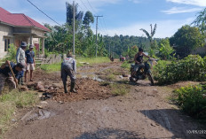 Jalan Rusak Desa Danau Liang: 7 Tahun Diabaikan, Kini Diperbaiki Gotong Royong Warga