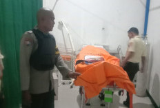 Fakta Baru Dugaan Pembunuhan Aulia, Empat Saksi Diperiksa Polisi Lebong