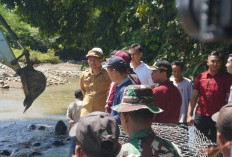 Respon Cepat, Pemkab BU & Kodim 0423/BU Goro Pasang Bronjong