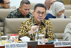 Patroli Siber Kemendag Take Down 2.639 Iklan Elektronik Ilegal di 21 E-Commerce