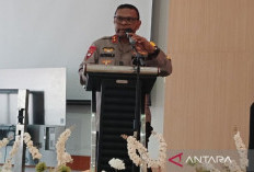 Ada Puluhan Personel TNI-Polri jadi Korban KKB Selama 2024