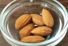 Cuma 1 Jenis Kacang Bisa Bikin Krim Antiaging Alami