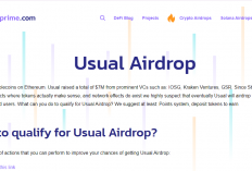 Usual Money Airdrop: Panduan Lengkap Mendapatkan Token Gratis