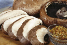 Atasi Diabetes dan Obesitas dengan Mikroprotein, Begini Caranya!